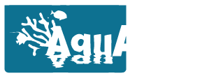 logo_web